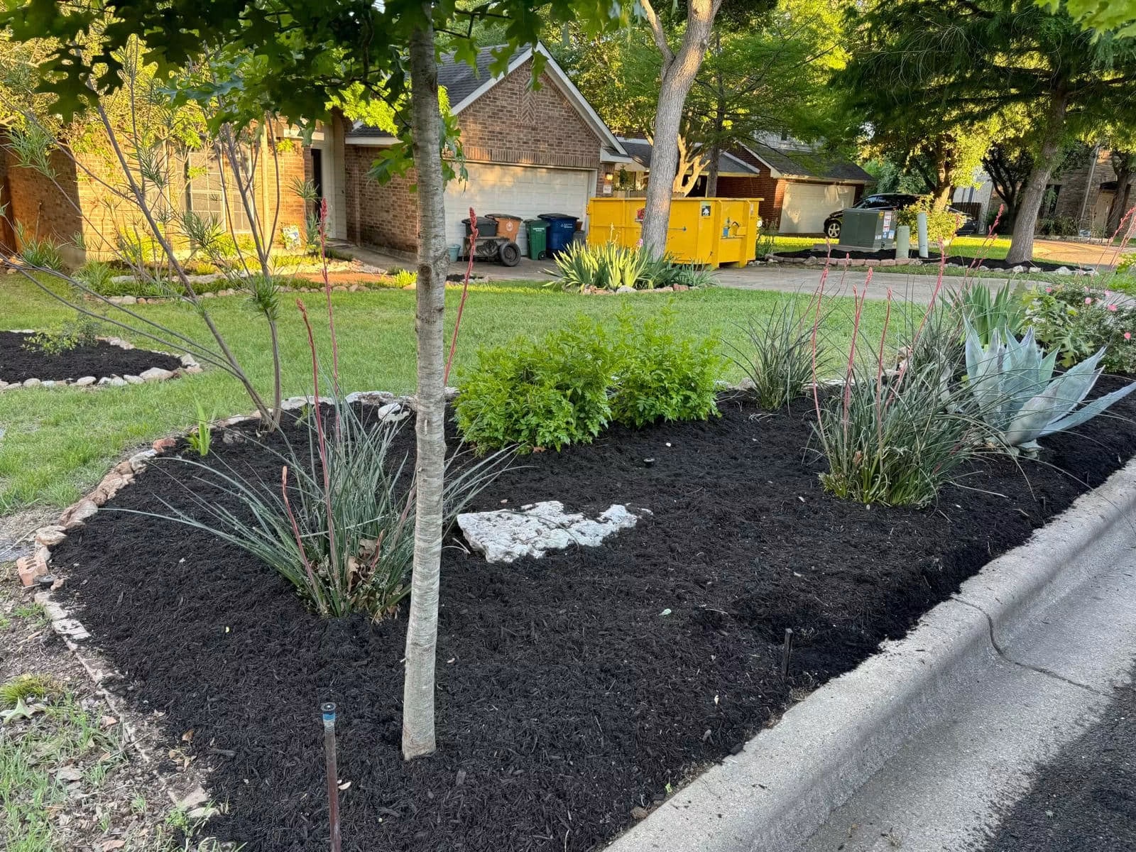 Front garden after cleanup, plant shaping, and fresh mulch installation